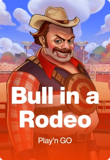 Bull in a Rodeo