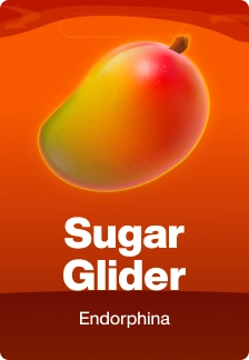 Sugar Glider